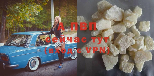 гашик Няндома