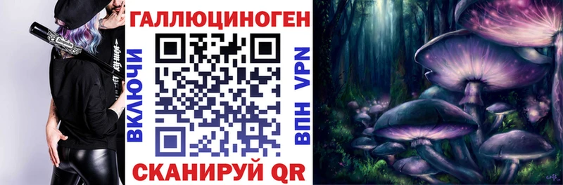 Галлюциногенные грибы Psilocybe  даркнет сайт  Тюкалинск 